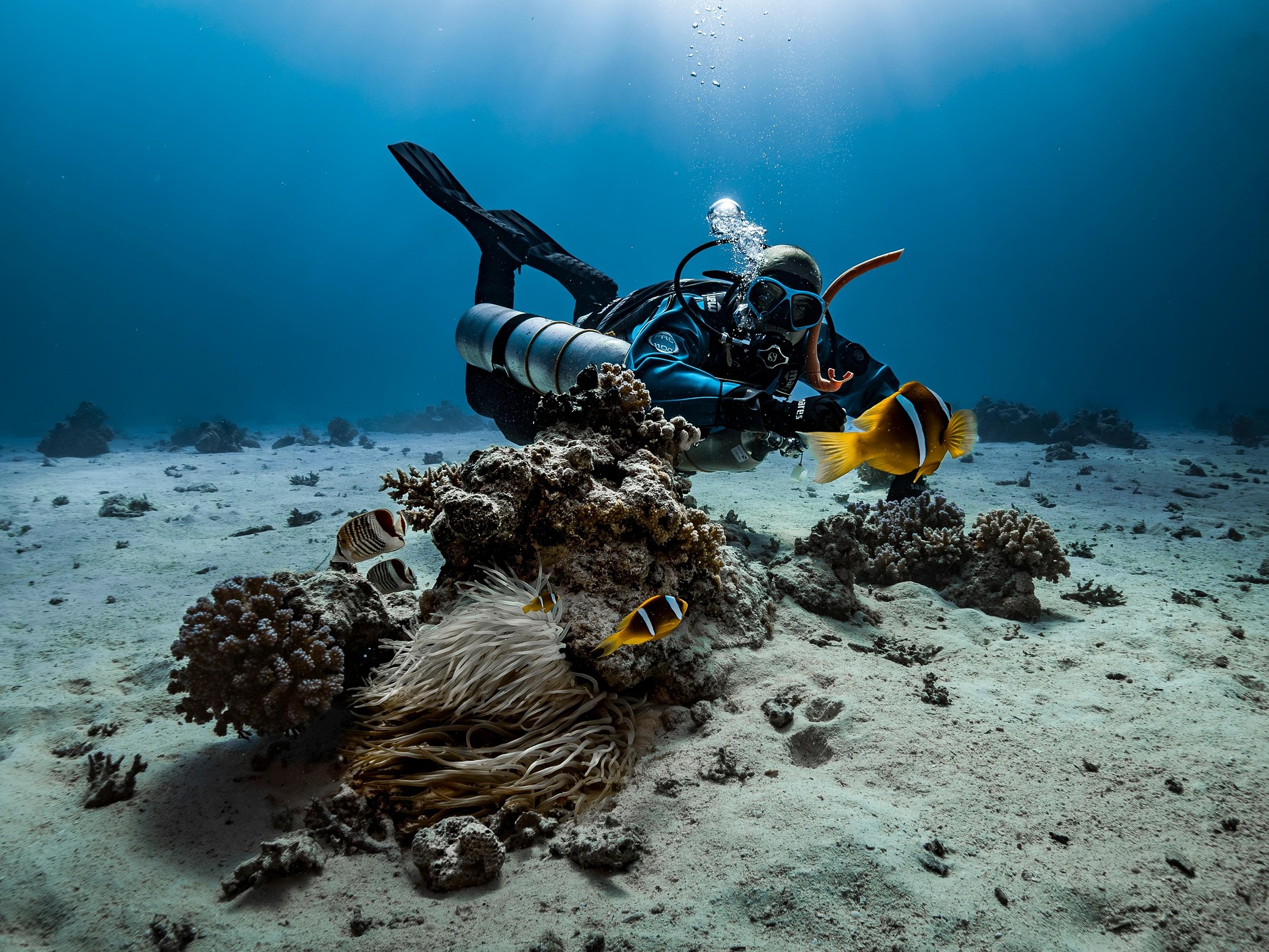 Diving