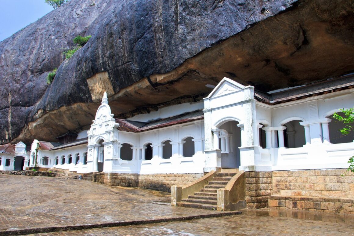 7 Days Sri Lanka Nature & Wildlife Explorer