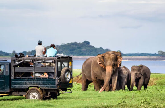 The Ultimate Travel Guide to Exploring Sri Lanka