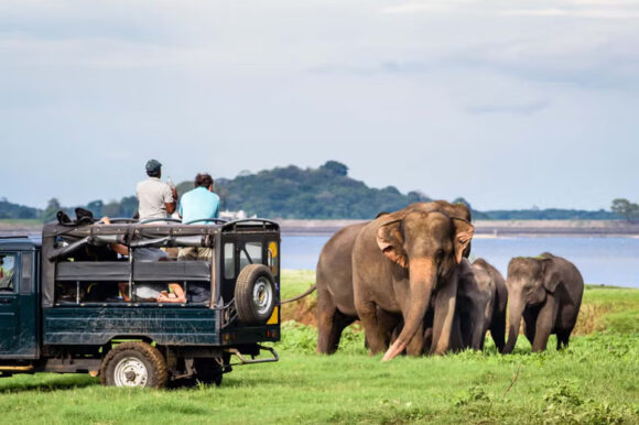 The Ultimate Travel Guide to Exploring Sri Lanka The Ultimate Travel Guide to Exploring Sri Lanka