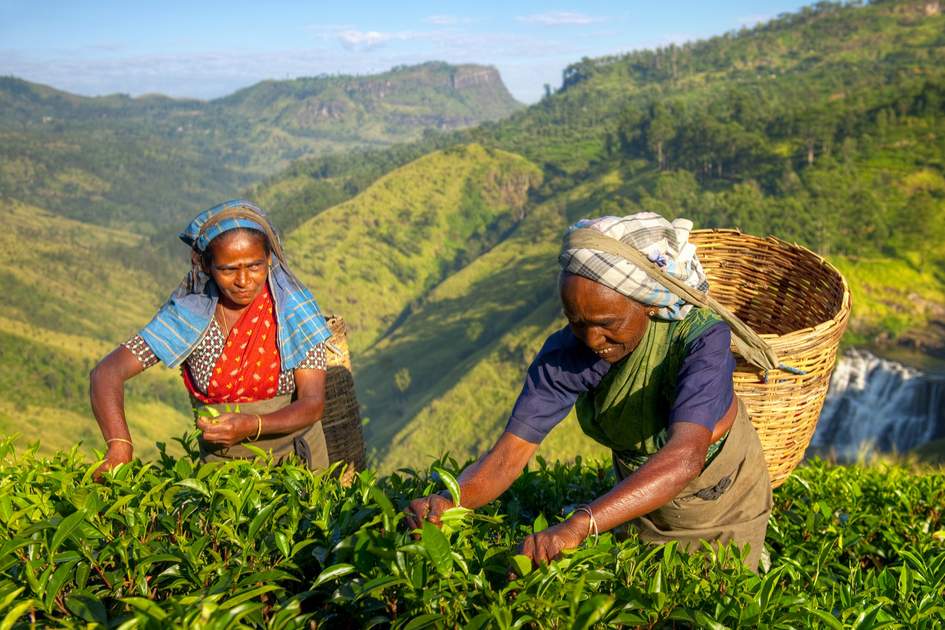 7 Days Sri Lanka Nature & Wildlife Explorer