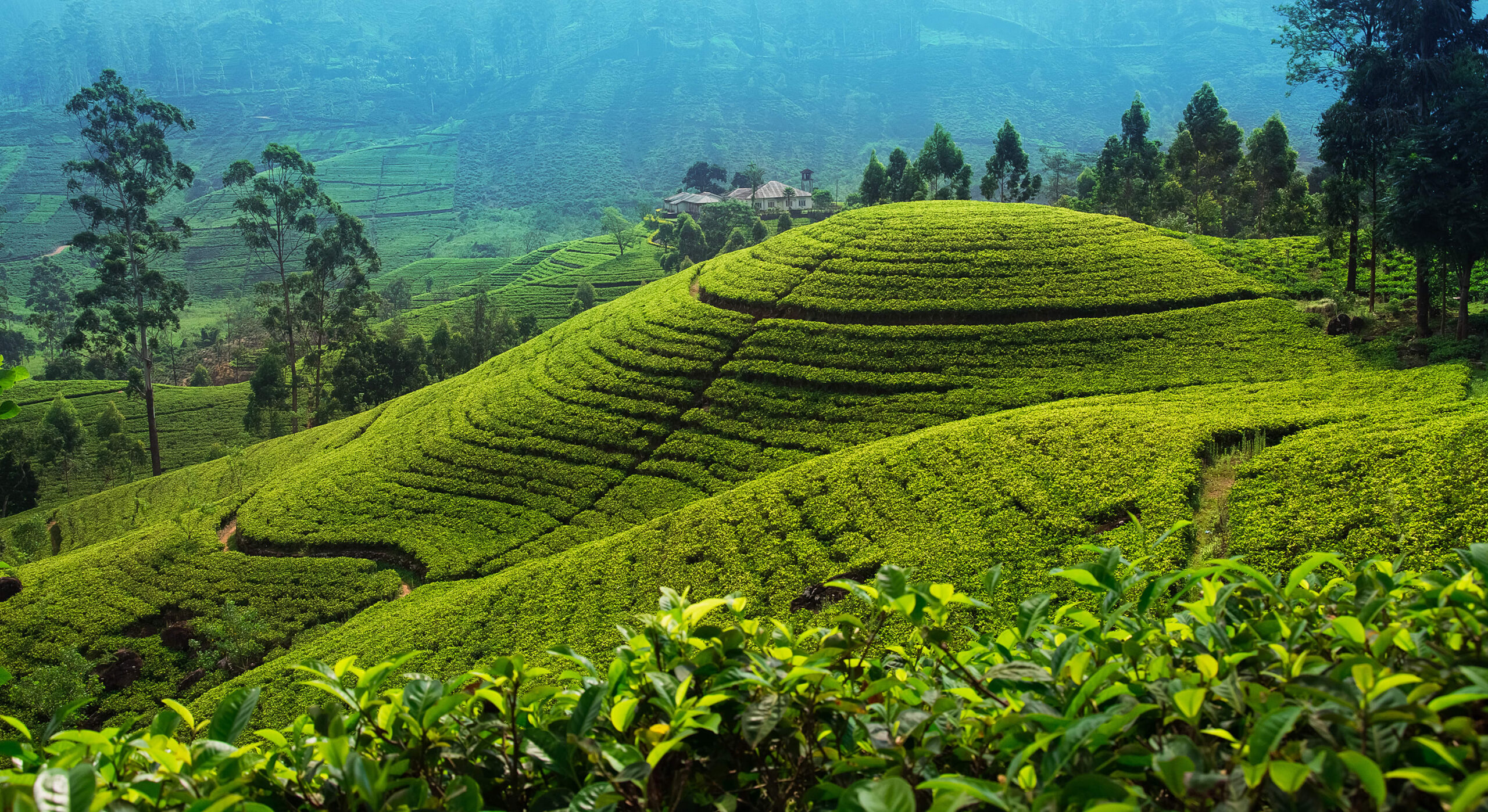 7 Days Sri Lanka Nature & Wildlife Explorer