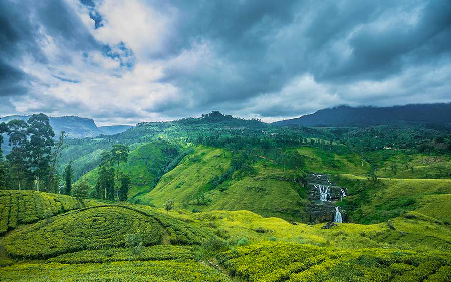 7 Days Sri Lanka Nature & Wildlife Explorer