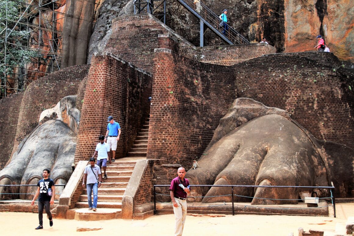 7 Days Sri Lanka Nature & Wildlife Explorer