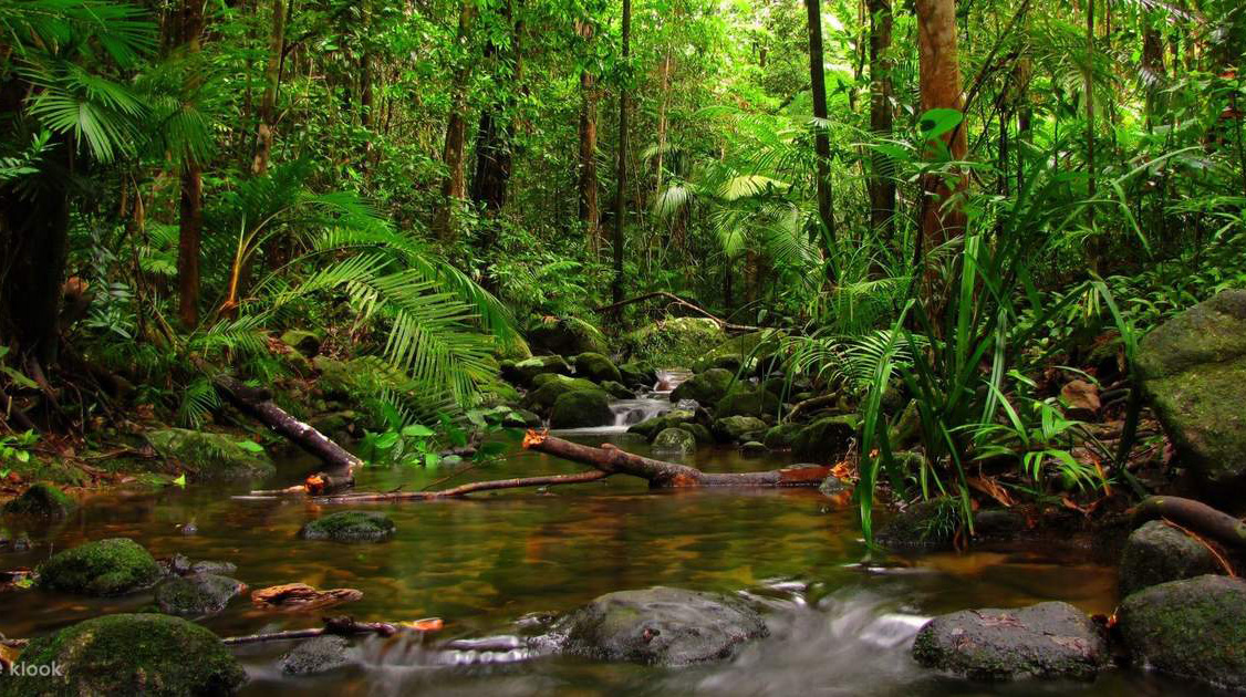 7 Days Sri Lanka Nature & Wildlife Explorer