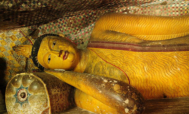 7 Days Sri Lanka Nature & Wildlife Explorer