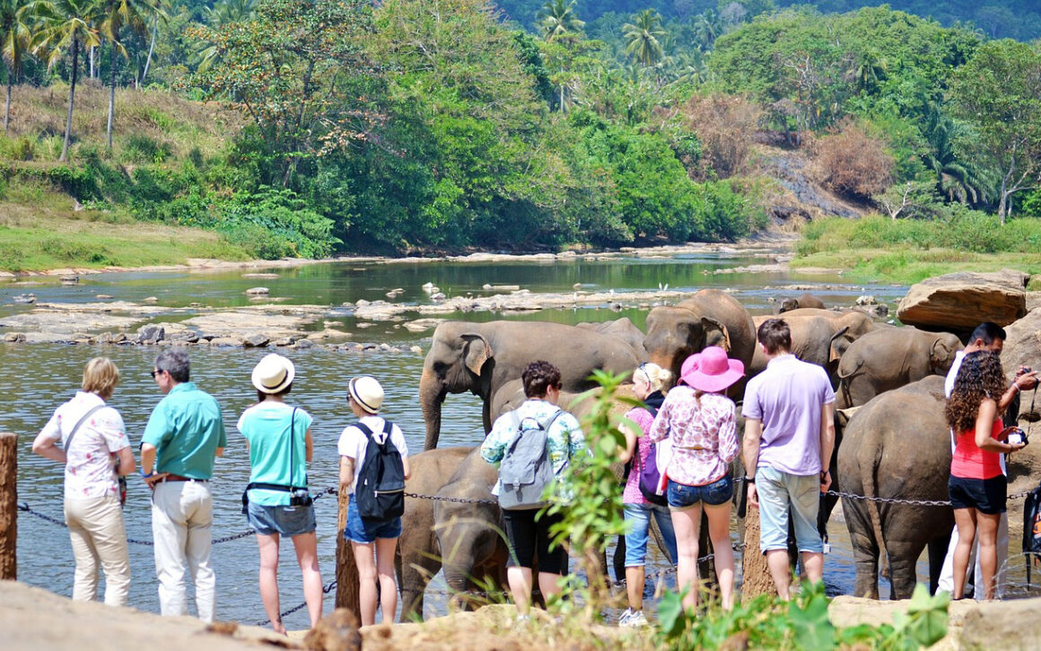 7 Days Sri Lanka Nature & Wildlife Explorer