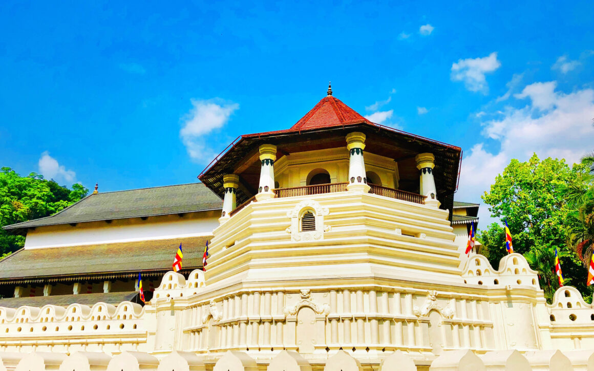 7 Days Sri Lanka Nature & Wildlife Explorer