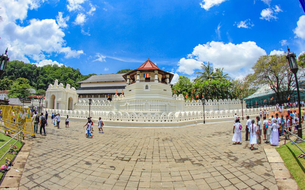 7 Days Sri Lanka Nature & Wildlife Explorer