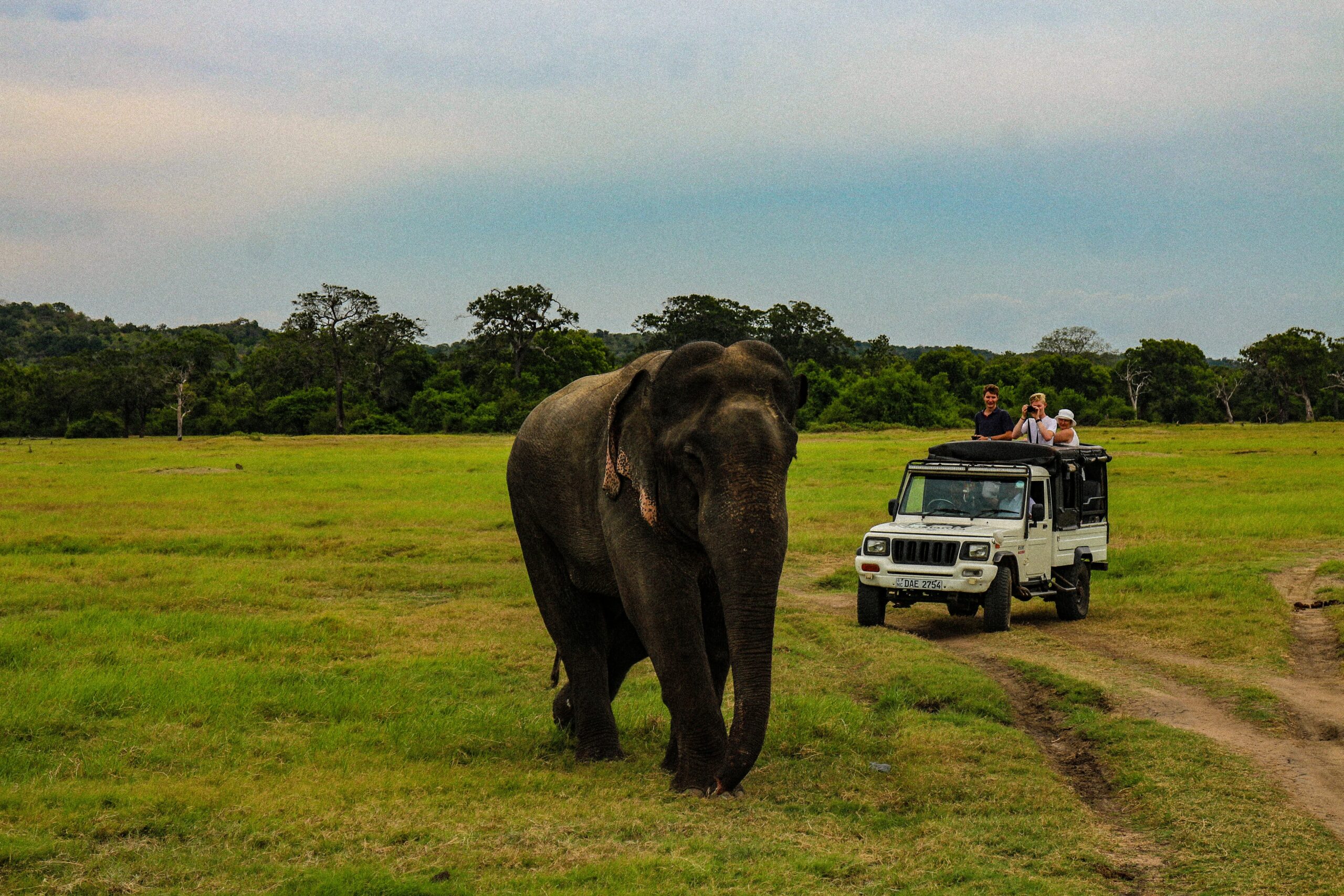 Jeep Safari